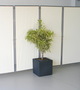 Pflanzgef mit 2x Wand-Clip vor einer textilen Stellwand