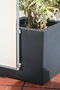 Paravent Rahmen an Pflanzkbel mit Drachenbaum ber 2x Wand-Clips angesteckt